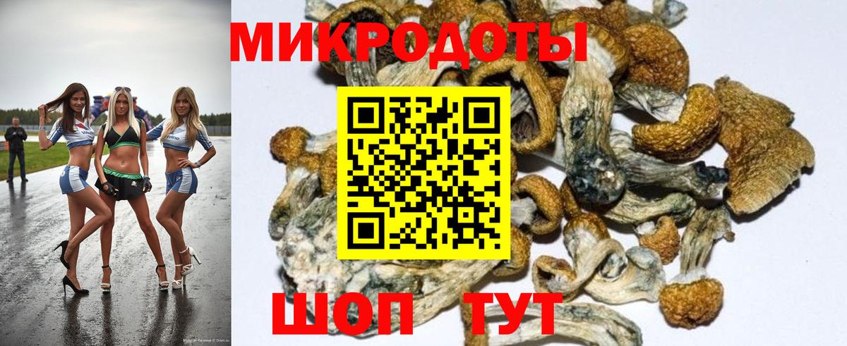 Псилоцибиновые грибы ЛСД Спасск-Дальний