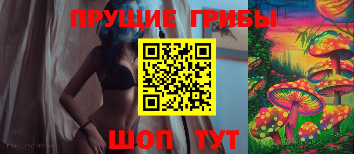 Псилоцибиновые грибы GOLDEN TEACHER  хочу наркоту  Спасск-Дальний  Вход с VPN 